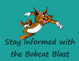  Bobcat Blast